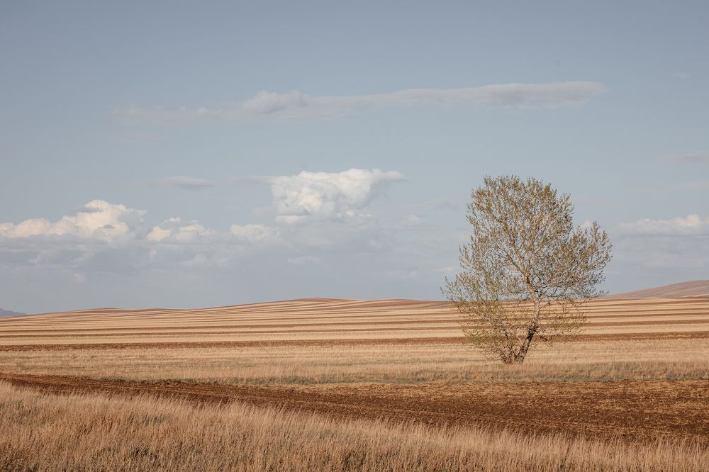 Photograph by Корчагина Оксана