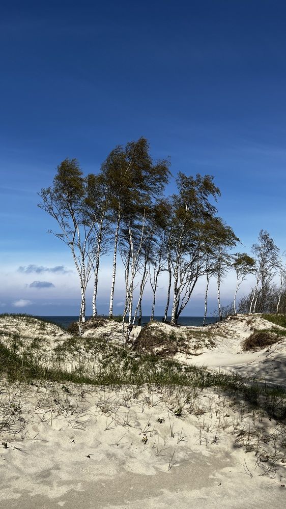 Photograph by Бравичева Анастасия