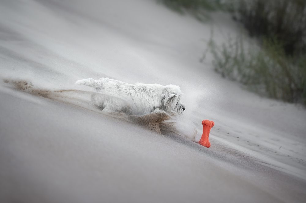 Photograph by Наталья Орел