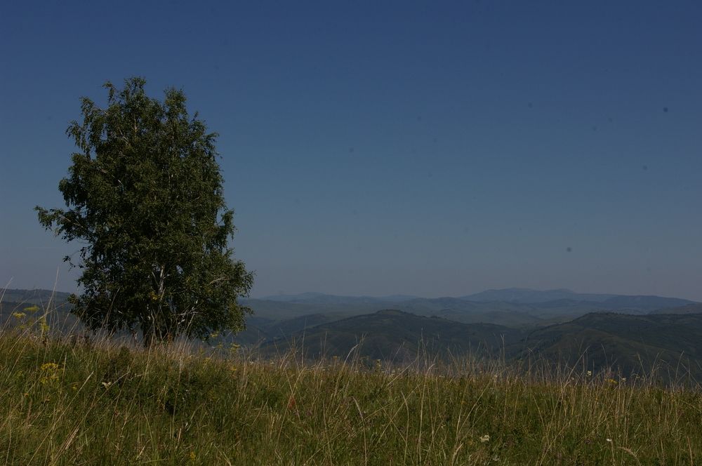 Photograph by Елена Алешкевич