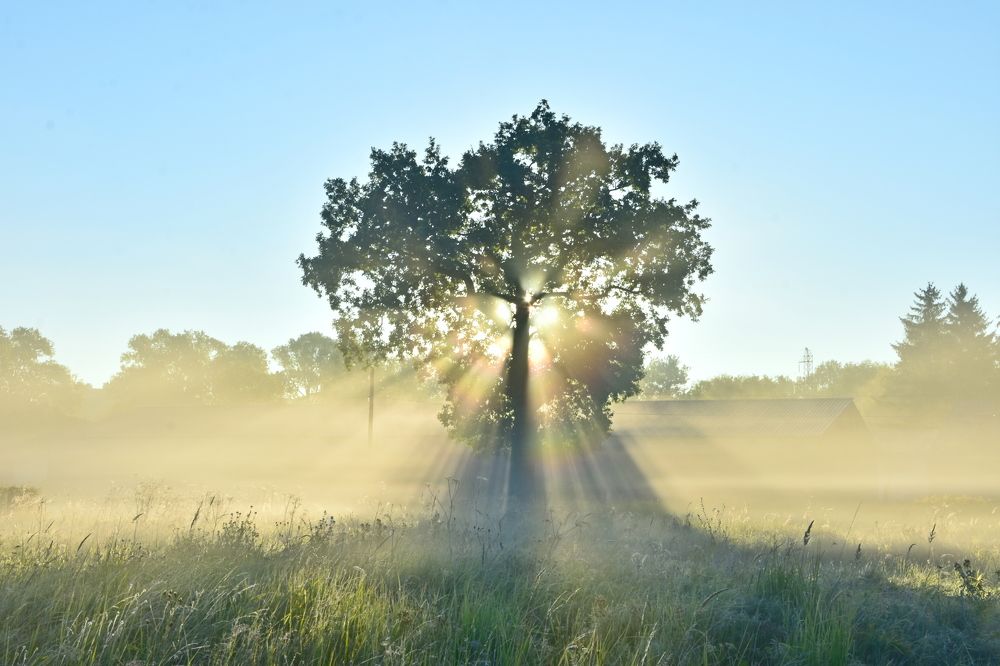 Photograph by Ирина Алексеева