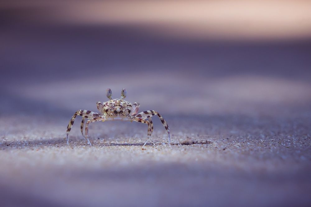 Фотография автора Sarka Svobodova