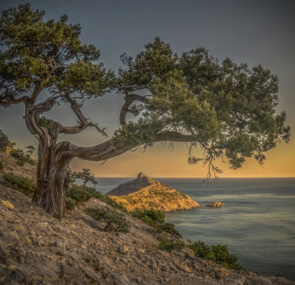 Photograph by Александр Сыроватка