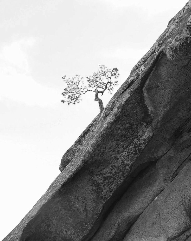 Photograph by Маргарита