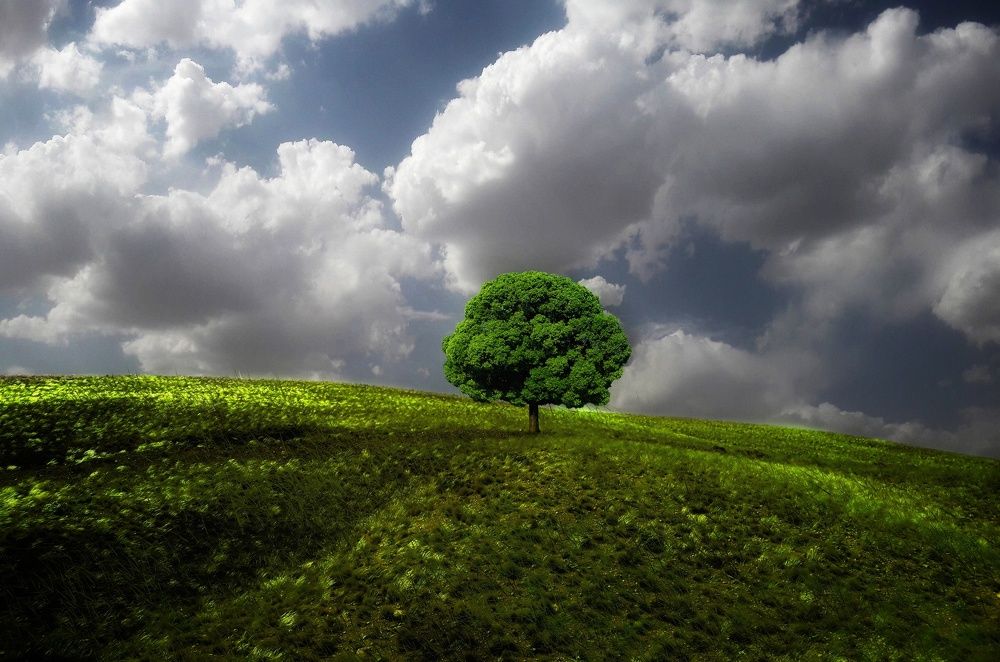 Photograph by Elahe Ashrafi