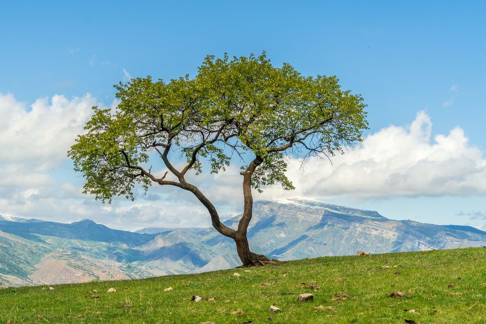 Photograph by Труханов Илья