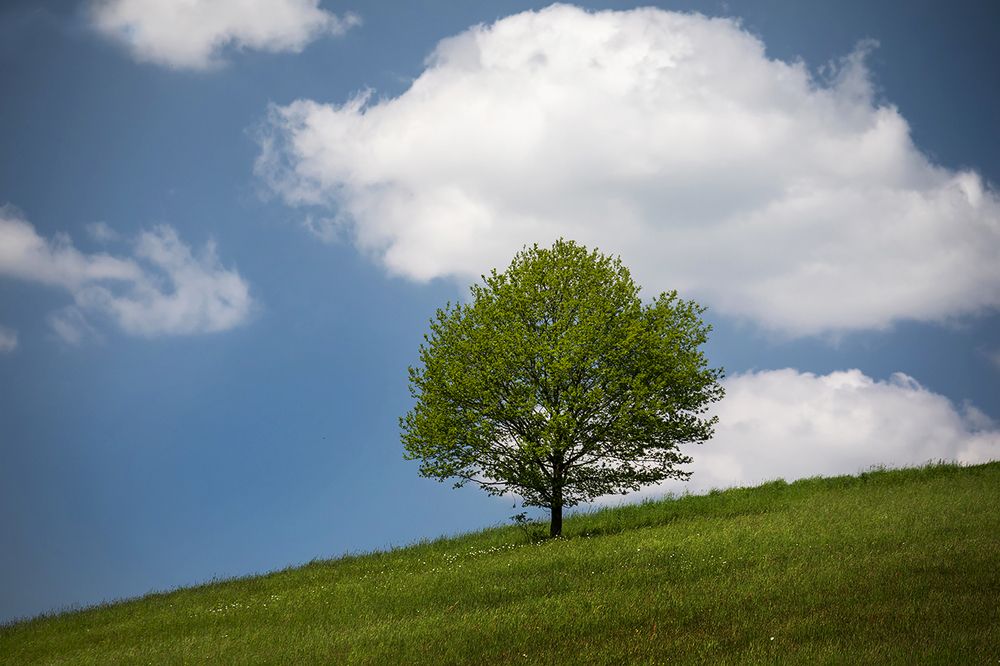 Photograph by Marcin Nalepka