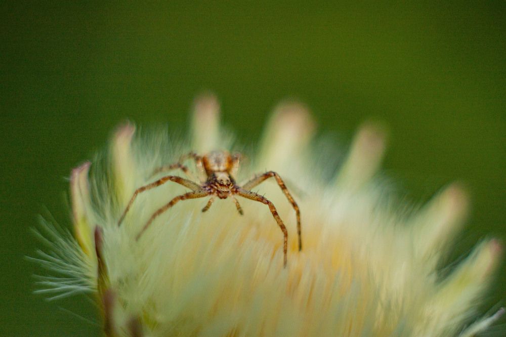 Photograph by Владислав Капанов