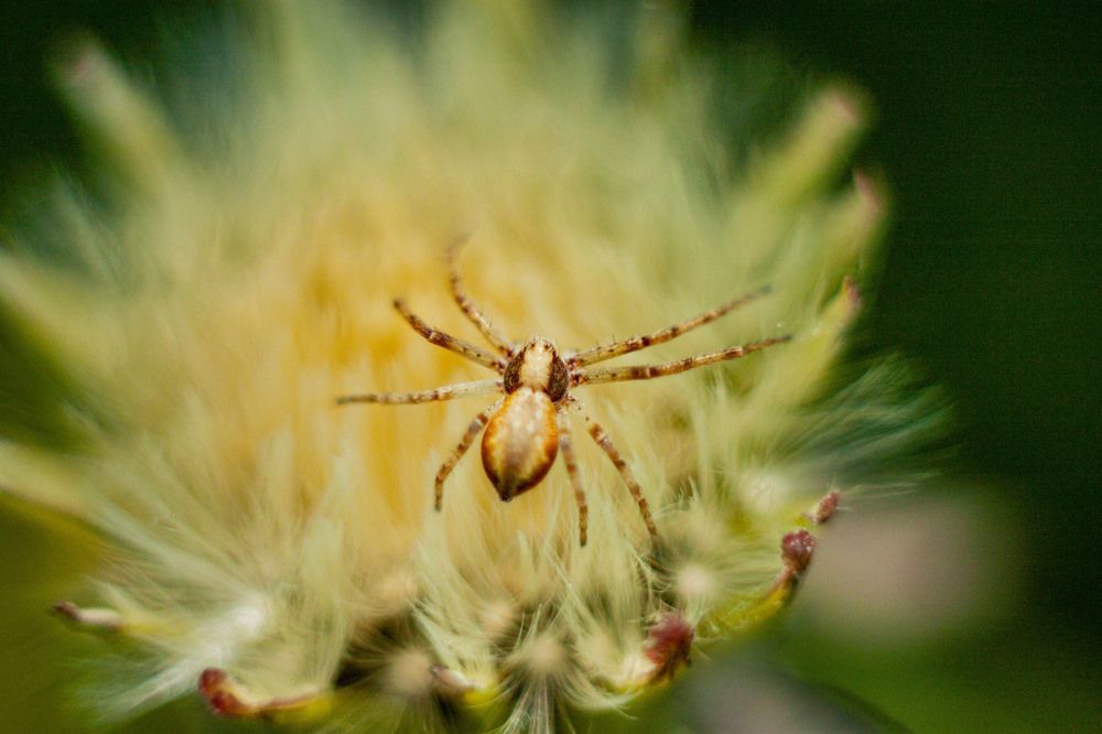 Photograph by Владислав Капанов