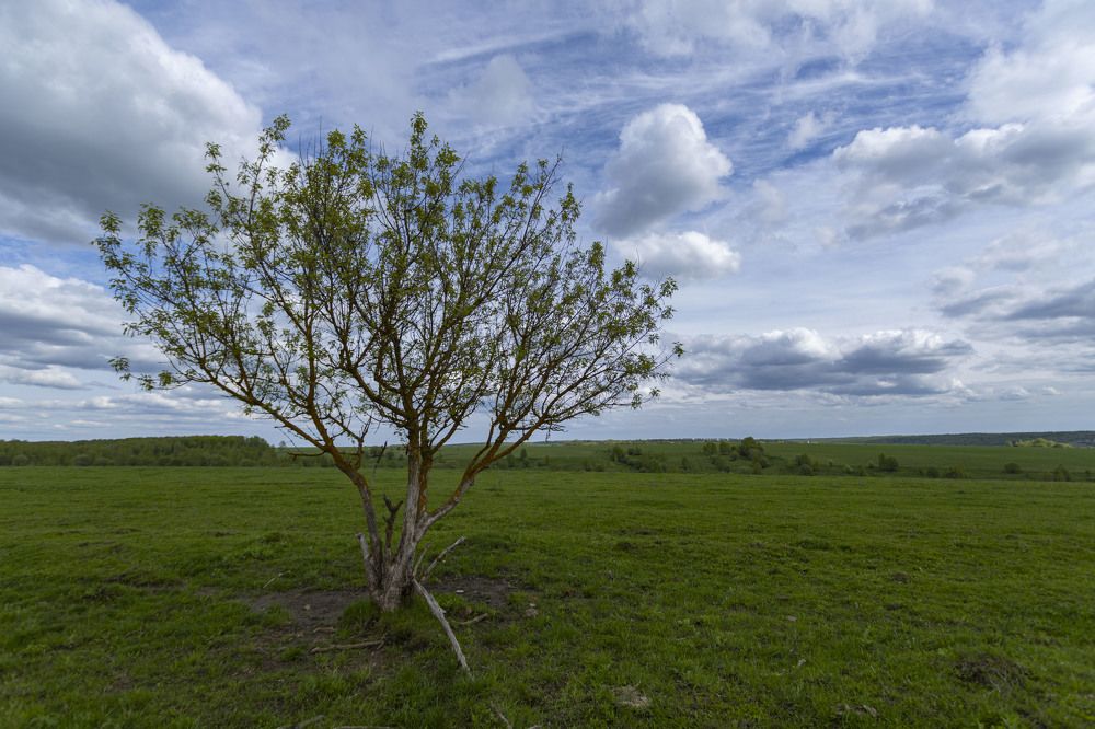 Photograph by Владислав Капанов