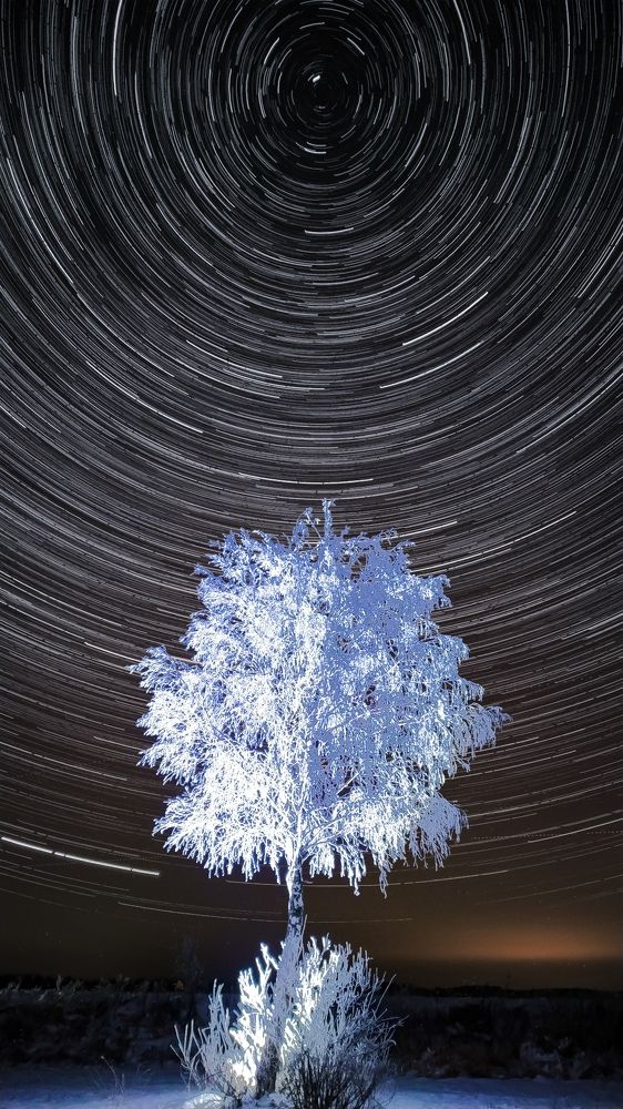 Photograph by Виталий Грачёв