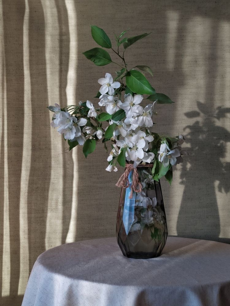 Ветки яблони