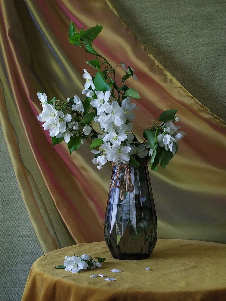 Букет жасмина