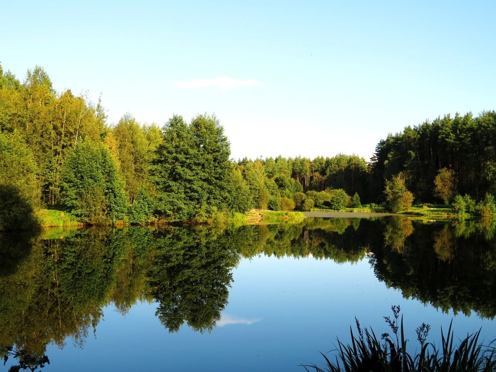 Зеркальное отражение