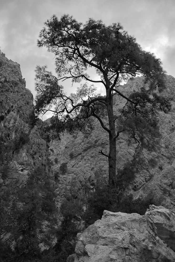 Photograph by Anastasiia Sergeeva