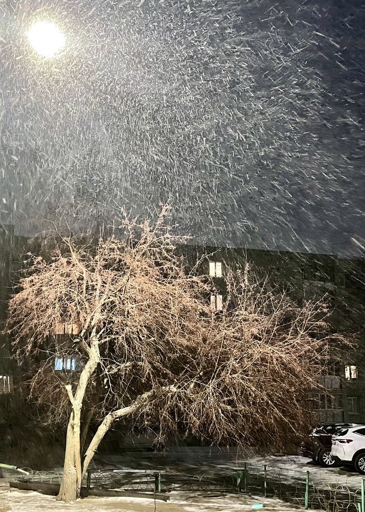 Photograph by Ольга Белоусова