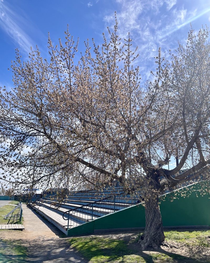 Photograph by Ольга Белоусова