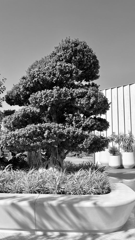 Photograph by Ольга Белоусова