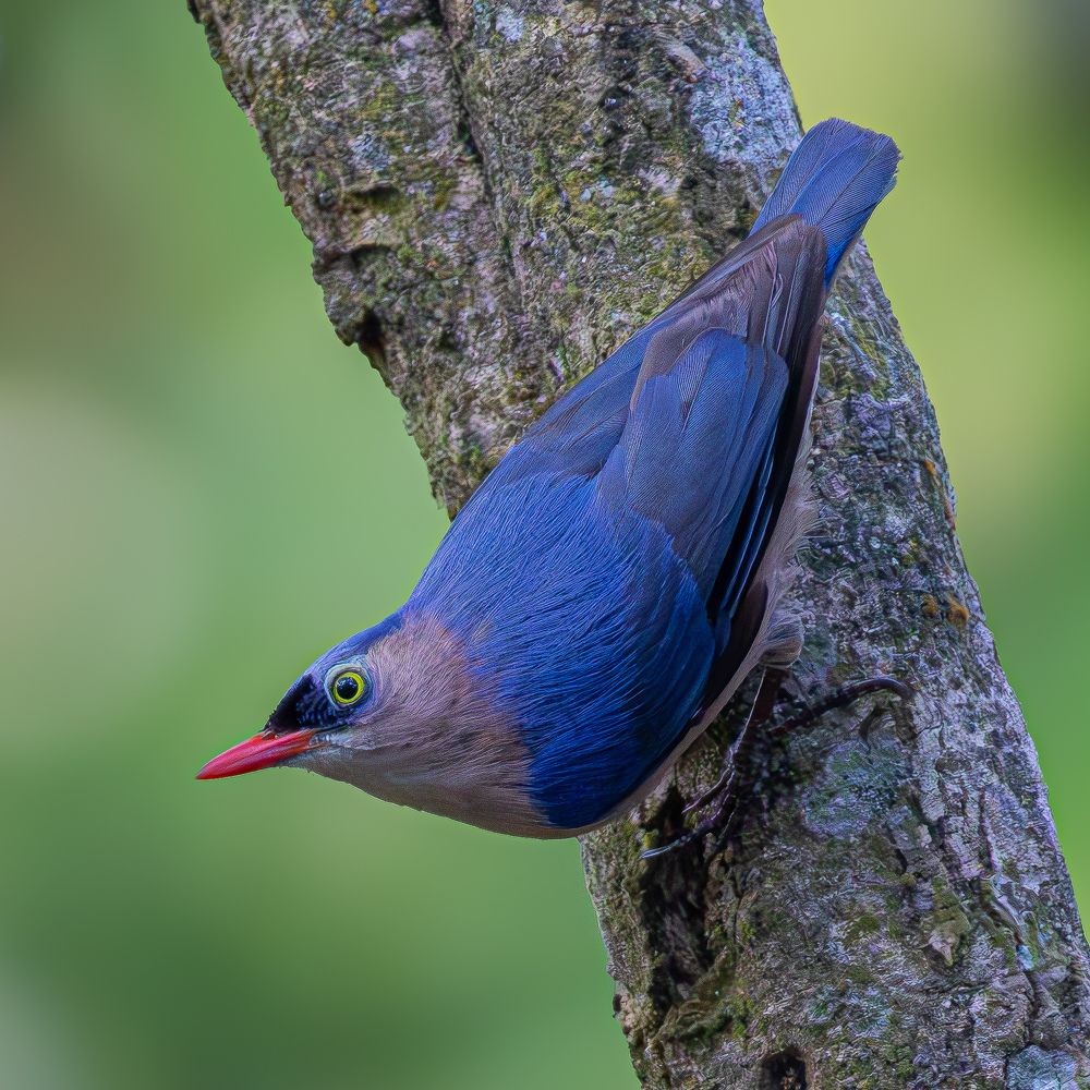 Photograph by Lingeshwarry