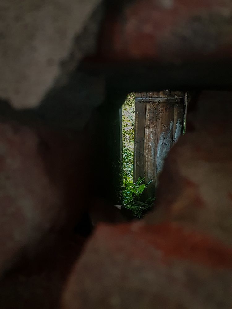 Photograph by Анастасия Трофимовская