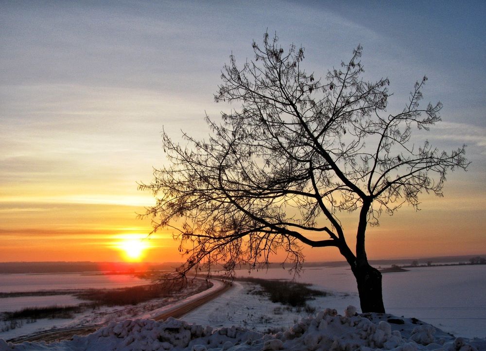 Photograph by Михаил Янкин