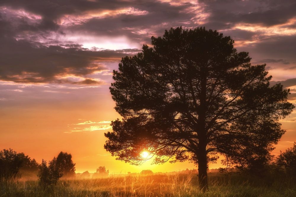 Photograph by Света Богоявленская