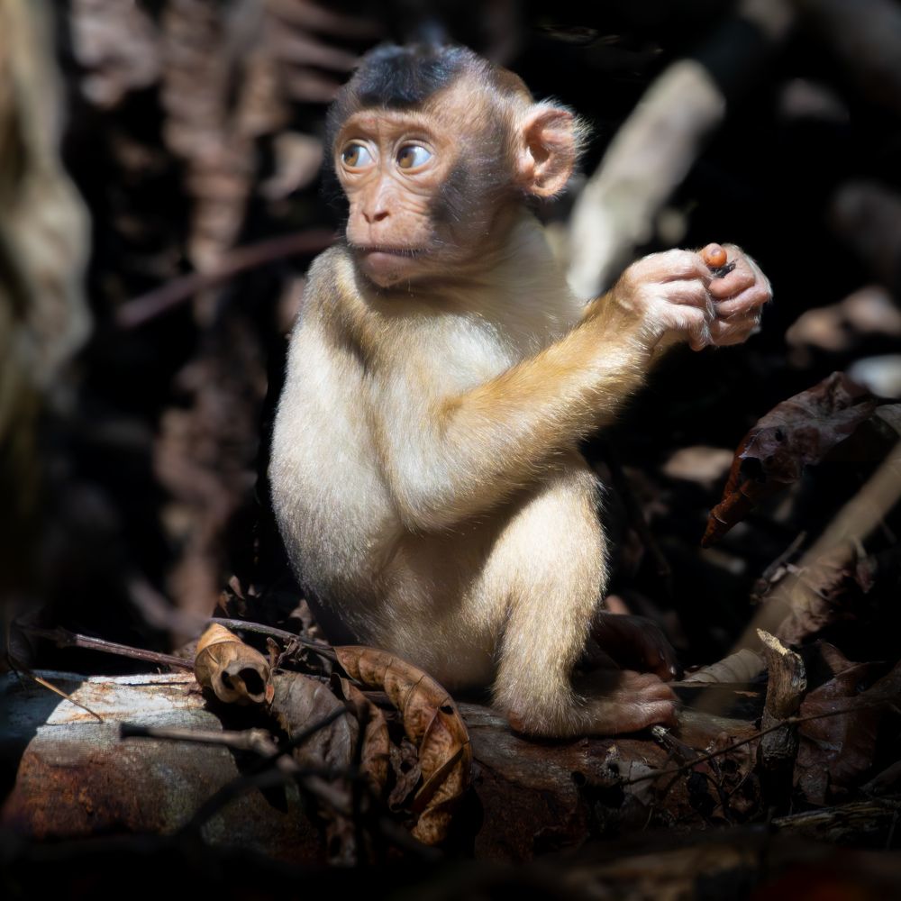 Photograph by Lingeshwarry