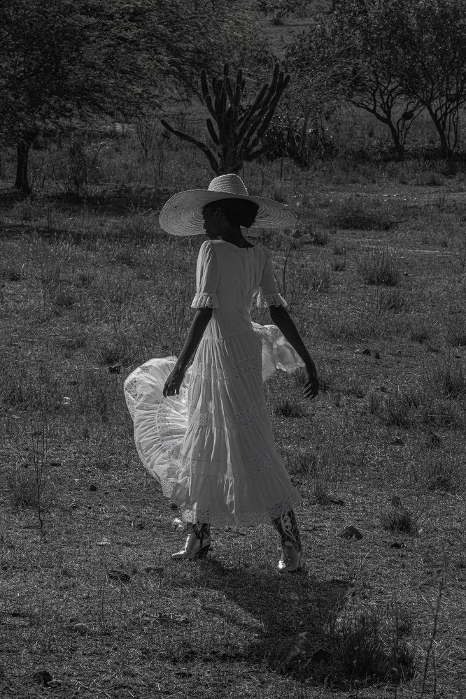 Фотография автора Vinícius Moreira