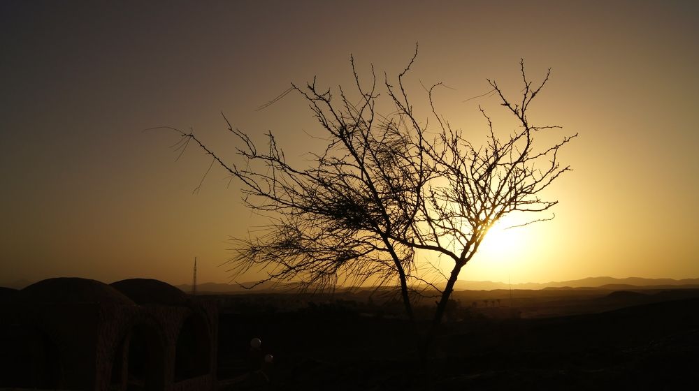 Photograph by Светлана Стрельцова