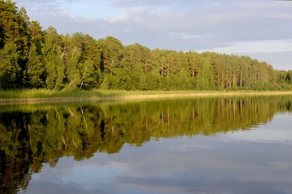 Photograph by Дмитрий Петренко