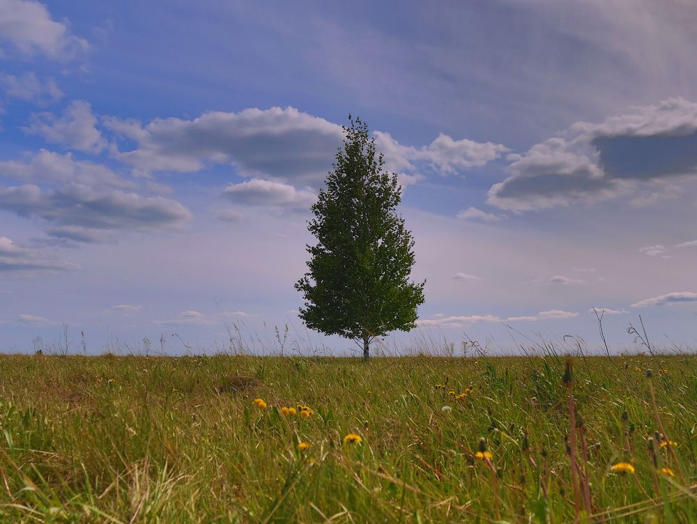 Photograph by Серёга Ануфриев