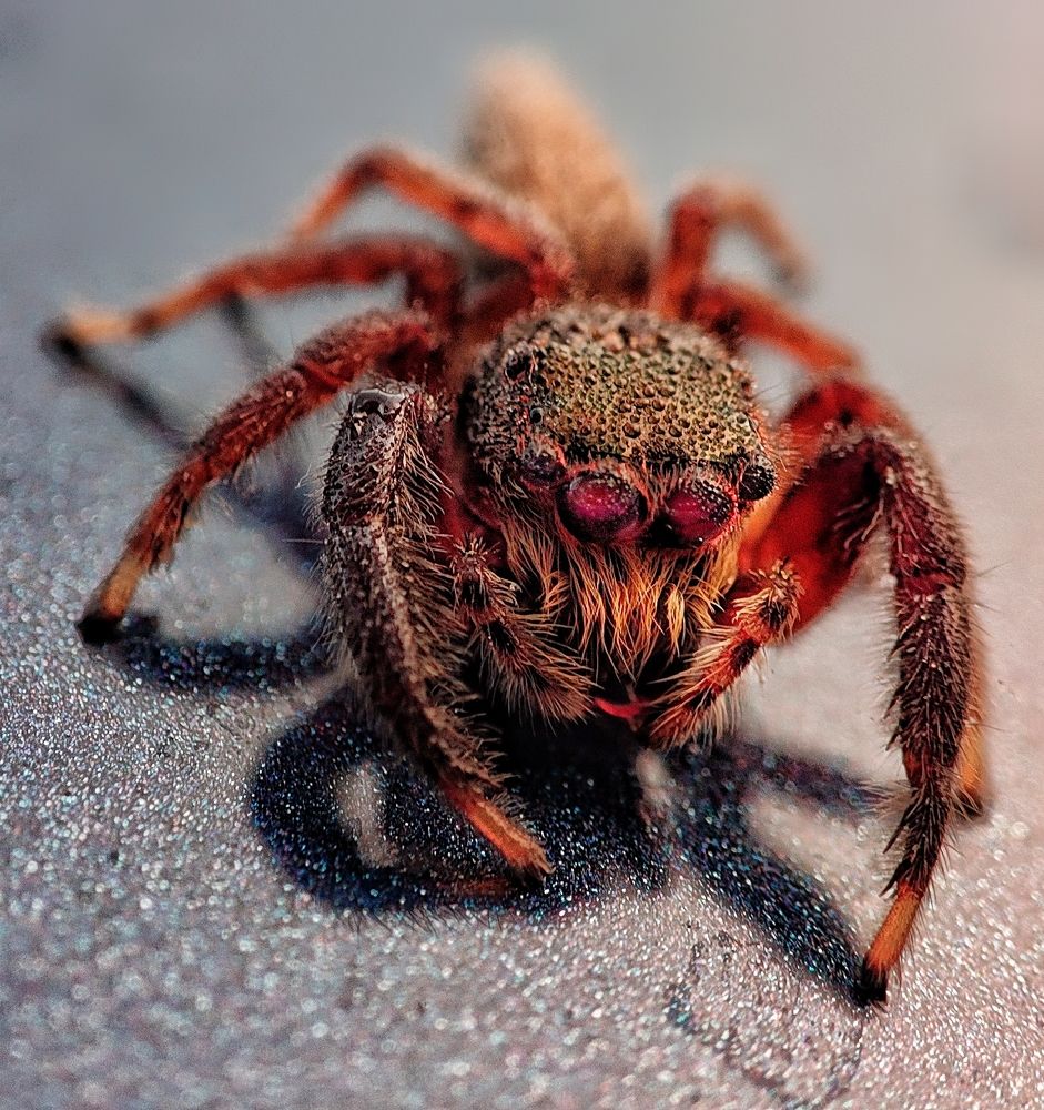 Photograph by George S George