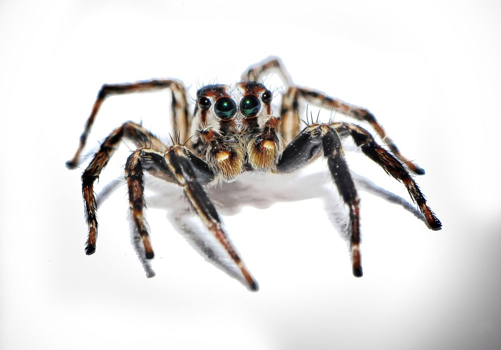 Photograph by George S George