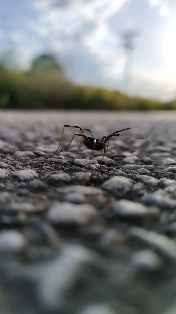 Фотография автора Achilleas