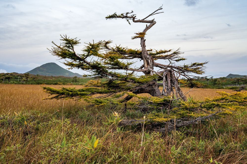 Photograph by Татьяна Решетникова
