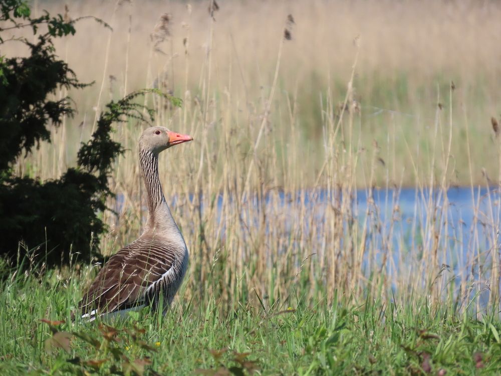 Photograph by Pjotr Alekseev