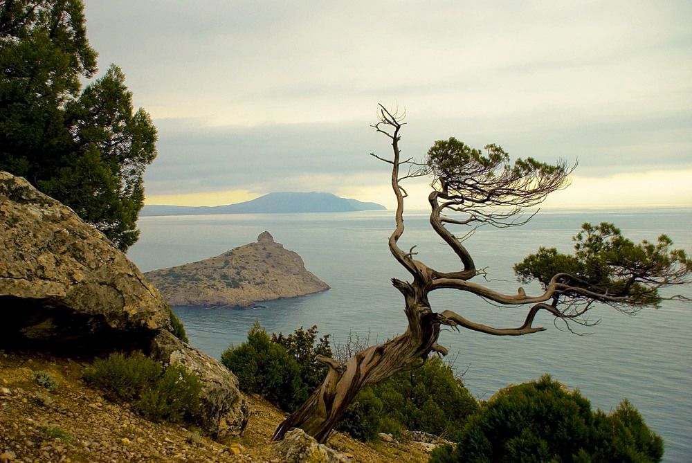 Photograph by Евгений Самулев