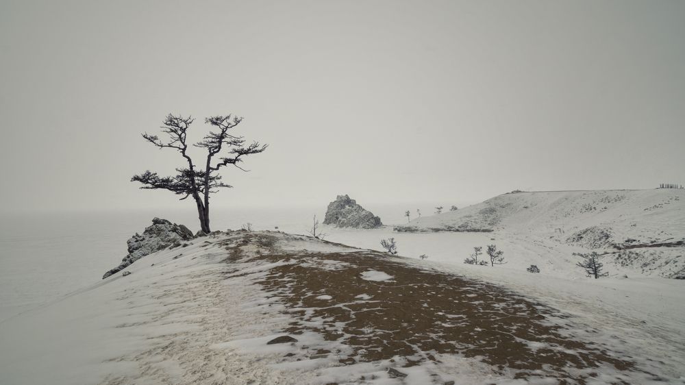 Фотография автора Степан Давыдов