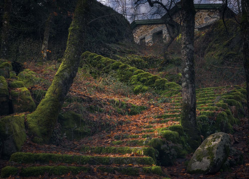 Photograph by Alberto (aavcaptures) Alonso