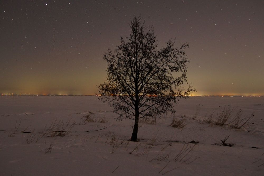 Photograph by Margareth Tikhonova