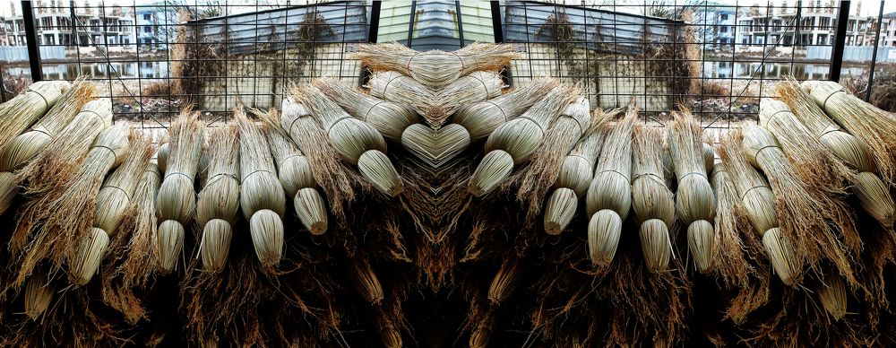 Photograph by Muzaffer Sütlüoğlu