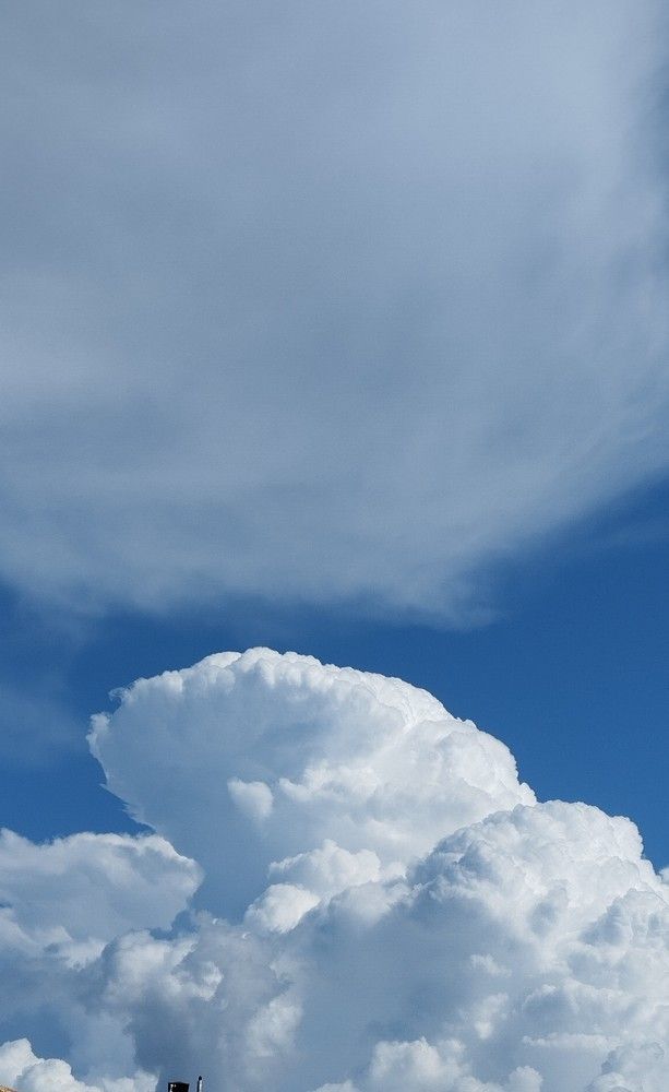 Photograph by Gülçin Çete