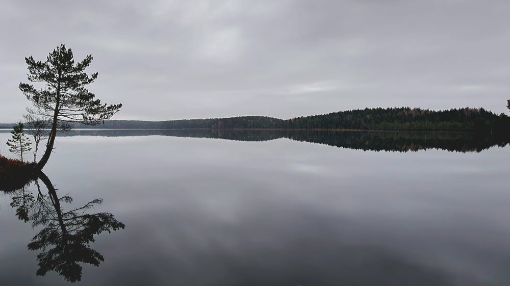 Photograph by Анна