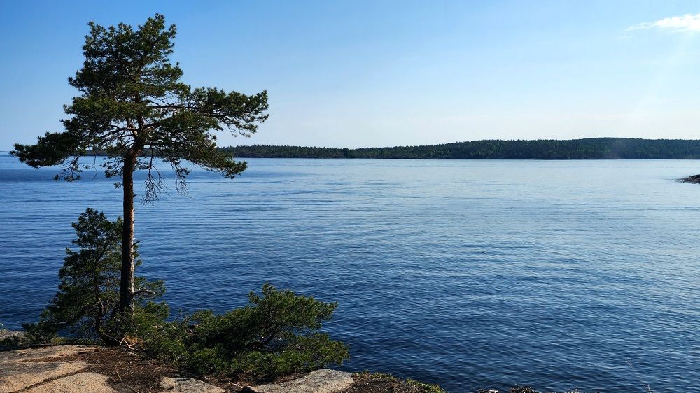 Photograph by Анна