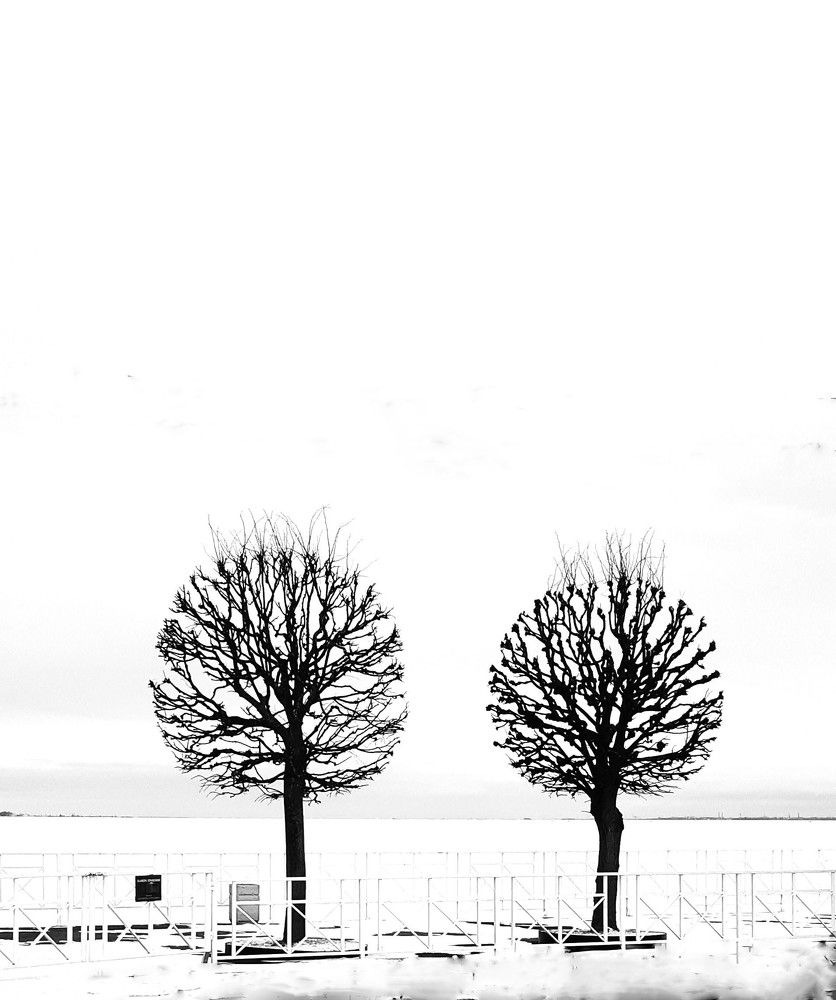 Photograph by Галина Воеводенко