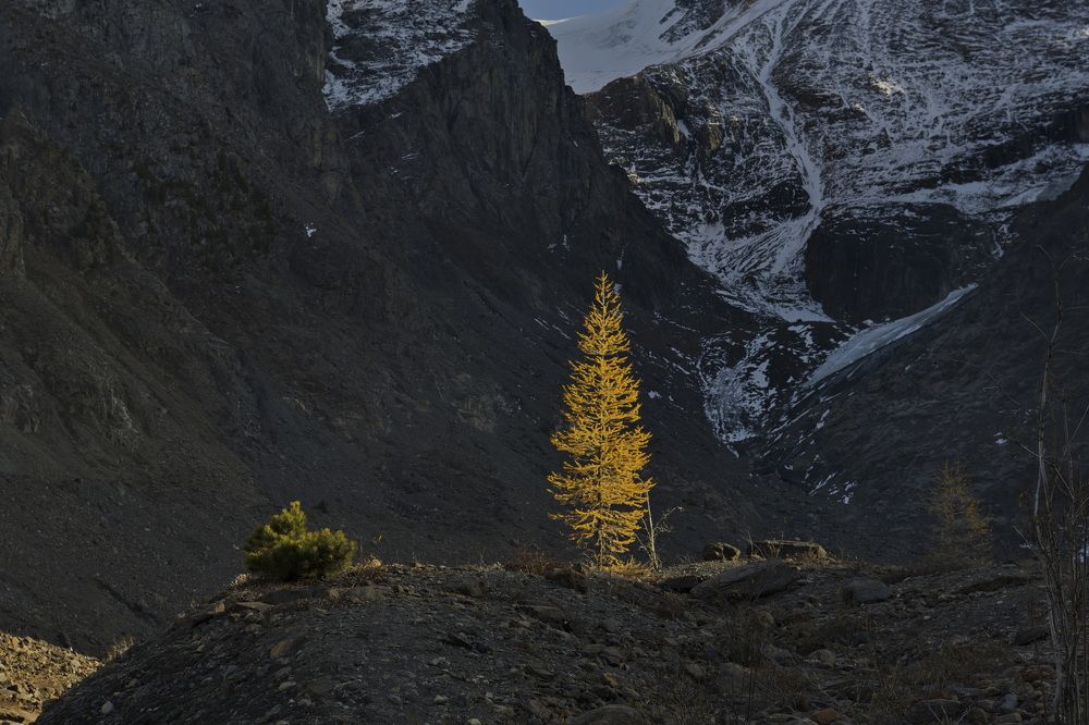 Photograph by Александр КАИ