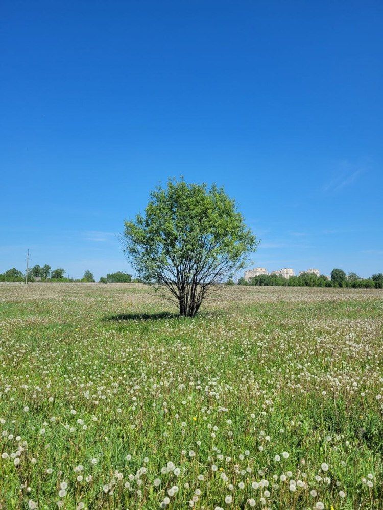 Photograph by Екатерина Козлова