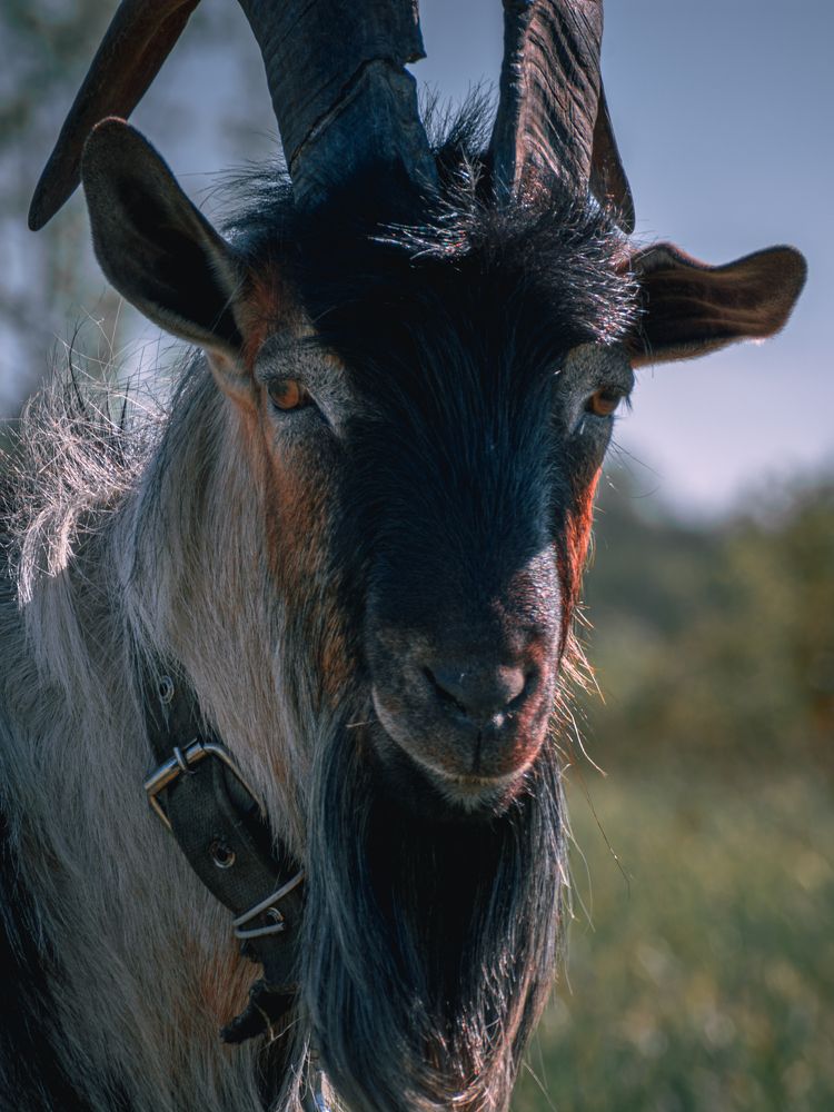 Photograph by Ольга Волкова