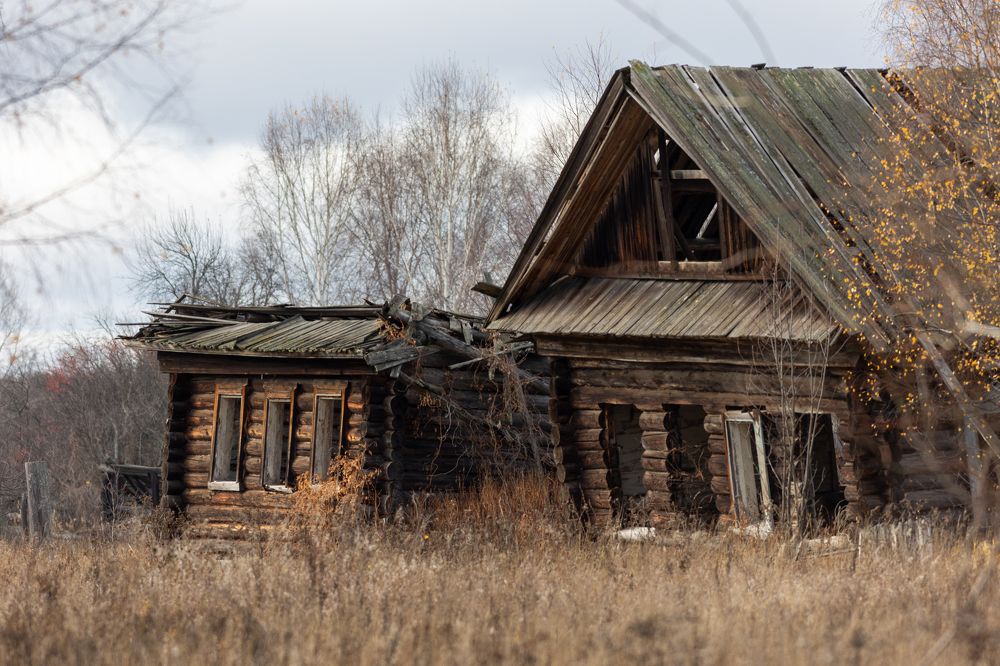 Photograph by Алексей Широбоков