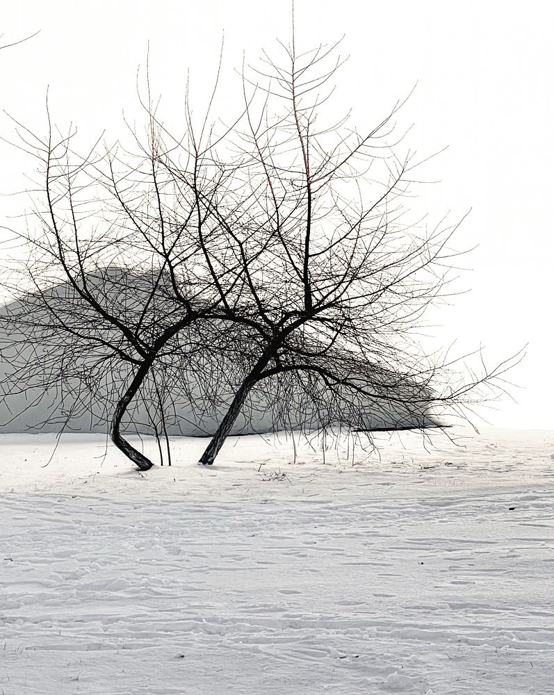 Photograph by Людмила Казак